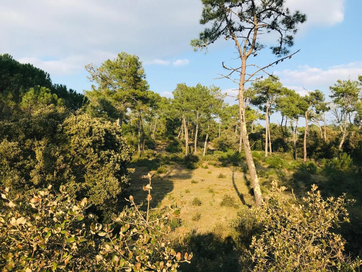 Le Miramar, Face Mer Et Standing Saint-Jean-de-Monts Eksteriør billede